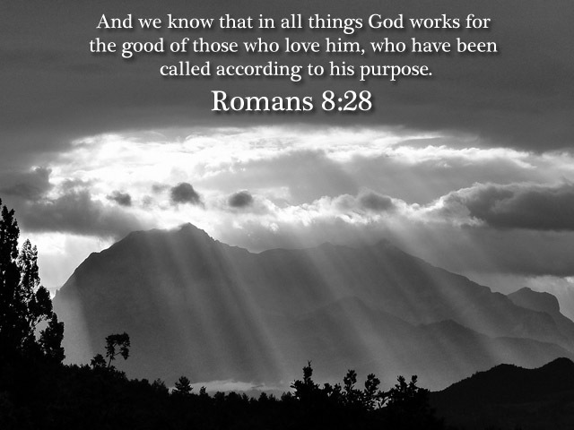 romans-8-28