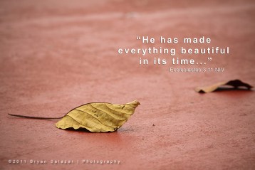 5774617315_104085244d_b