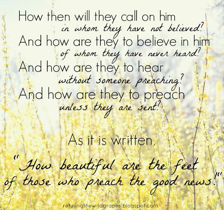 0170958507b094feb7c31a8de8000b73